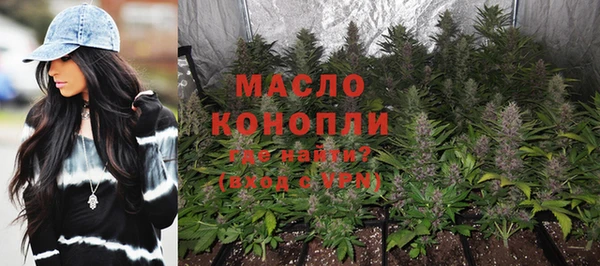 шишки Абаза