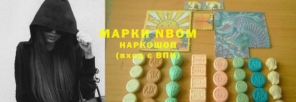 шишки Абаза