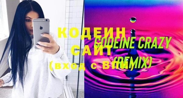 шишки Абаза