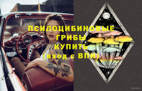 шишки Абаза