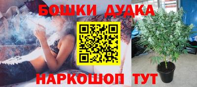 Альфа ПВП Пушкино