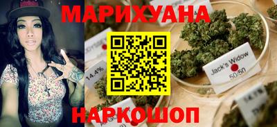 Альфа ПВП Пушкино