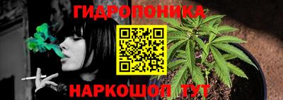Альфа ПВП Пушкино