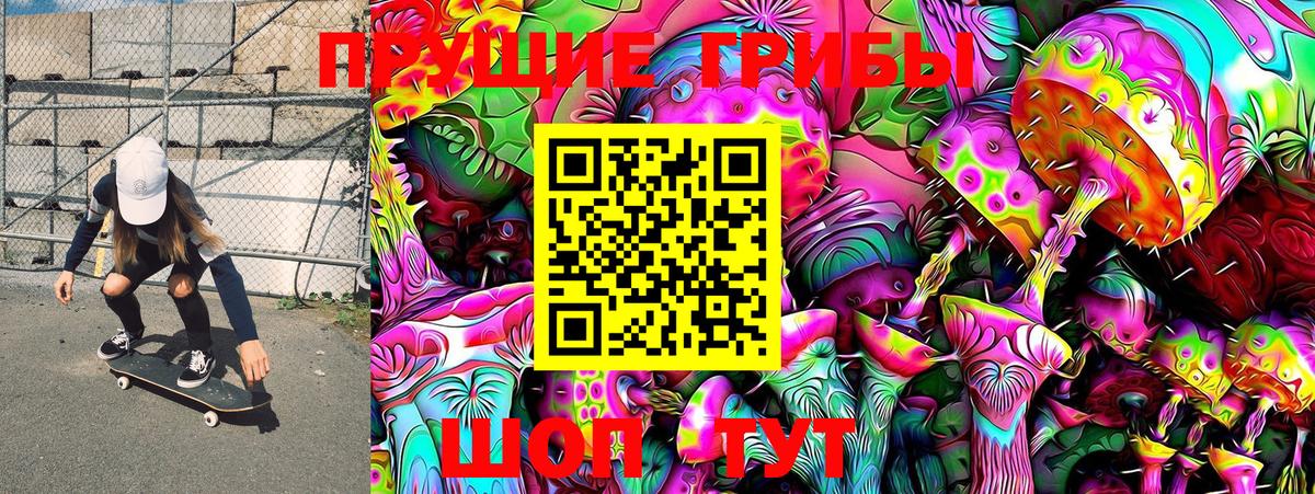 Галлюциногенные грибы Psilocybe Азов